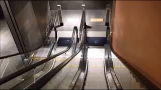 노보텔 앰배서더 강남 GYG 에스컬레이터(ESCALATOR) 시승기