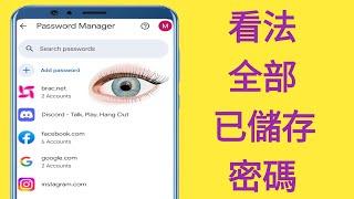 如何查看手機上儲存的密碼 || 所有密碼保存在您的 Google 帳戶中