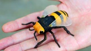 GIGANTIC WASP!