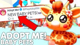 *NEW* BABY PETS UPDATE! ADOPT ME NEW BABY GIRAFFE WINTER PET IDEAS! (CONCEPTS!) ROBLOX