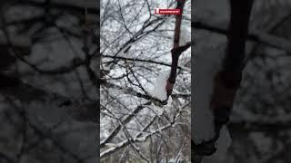 Как пережить осеннюю хандру