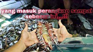 perangkap ikan udang dan cumi ala nelayan manggar.