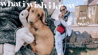 things i wish i knew before getting a puppy// first week with a miniature dachshund vlog!