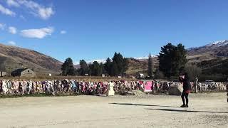 Cardrona Bra Fence NZ