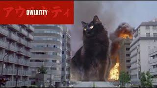 It's Catzilla!!!