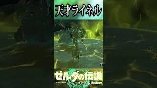 生放送で出会ったIQが高すぎるライネルが酷いｗｗｗ【ゼルダの伝説　ティアーズ オブ ザ キングダム】