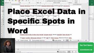 Place Excel data in specific spots in a Word document