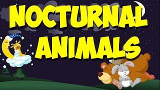 Nocturnal Animal Song