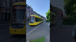 Yellow tram passing in Essen, Germany #trams #train #deutschebahn #track #shorts 