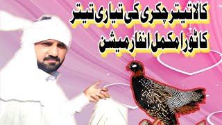 Kala Teetar Ki Chakri Aur Toura Ka Tariqa | Black Francolin Calling Trick | Yasir Khan