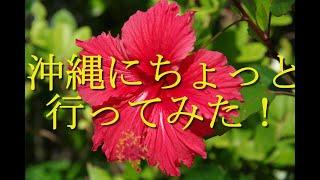 沖縄でそばは旨かった！！宮古そば＆やまびこ食堂 　１年前