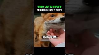 산에서 내려 온 여우에게 베풀었더니 가족이 된 이야기