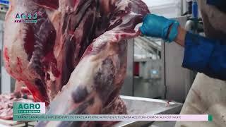 BRAZILIA SUSPENDĂ EXPORTUL DE CARNE CĂTRE UE