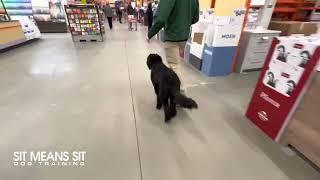 Oakley at Home Depot