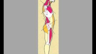 Correct Lordosis Part 1-3