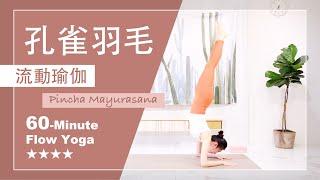 60分鐘 流動瑜伽【孔雀羽毛】Flow Yoga     #進階瑜伽練習 #前臂平衡