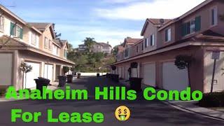 Anaheim Hills Summit Park Condo For Lease Anaheim Hills Homes