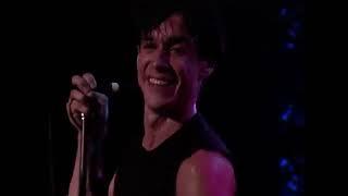 Iggy Pop  - Real Wild Child  - The Wild One.