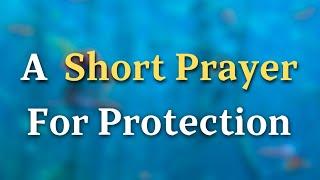 Dear Lord, I ask that You surround me with Your divine hedge of protection. Shield me from evil