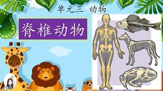 四年级 KSSR Semakan 科学 单元三 动物 【脊椎动物】