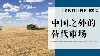 后中国时代：澳洲出口的新市场（英文） 丨Landline