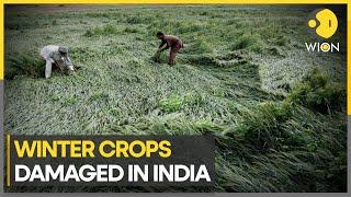 Unseasonal rain damages crops in India | WION Climate Tracker