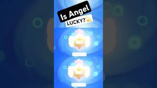 I opened some Angel StarDrop.  #brawlstars #shorts #prgxor