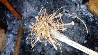 Beekeeping 101. Burning old frames? Here's a tip every beekeeper should know