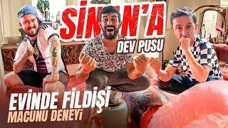 SİNANA DEV PUSU | EVİNİ FİLDİŞİ MACUNU İLE KAPLADIK