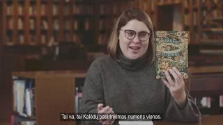 Dovilė Filmanavičiūtė rekomenduoja: trys širdį palietusios knygos