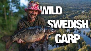 Return to Haga: Oli Davies’ Wild Carp Fishing Adventure in Sweden