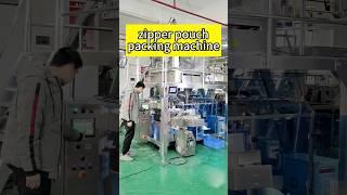 Landpack zipper pouch packing machine | premade pouch packing machine