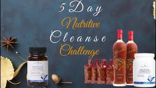 5 day cleanse