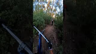 Chasing Failed part #2. Javali trilho Monsanto Lisboa. #gopro12 #bikefails #crash