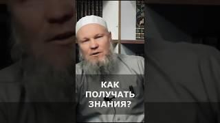 Как получать знания? | Шейх Иса Абу абд ар-Рахман #шейхиса #наукихадисов #shots