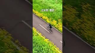 #낙동강 자도