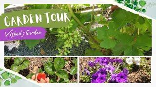 HOME GARDEN TOUR IN TAMIL | SUMMER GARDEN 2023 | DAILY DOSE OF VISHNU