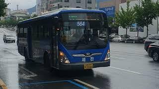 564버스