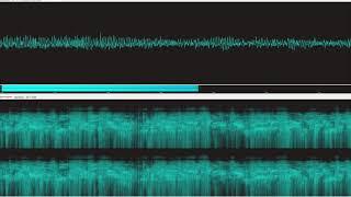 Voice of Korea Shortwave Reception