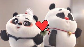 Bamboo Panda Love Staus // Cute panda status