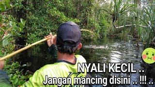 HARUS PUNYA IQ TINGGI UNTUK BISA PULANG , HARI KE 3 SUNGAI ULAR .. ..