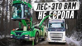 VOLVO FH 6x4 vs Дробилка. Лесные братья в деле #pavelkorol @volvotrucks