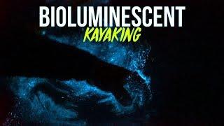 Bioluminescent Kayaking in Florida in Clear Kayaks - Merritt Island | Get Up And Go Kayaking