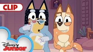 It's Show Time  | Bluey | @disneyjr