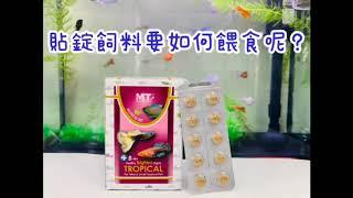 【Balanced Diet 系列】燈科、小型魚增艷成長貼錠/90錠_小型熱帶魚飼料～教您如何使用貼錠飼料開心餵食唷！