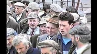 Livestock Auctions Mid Wales 1994