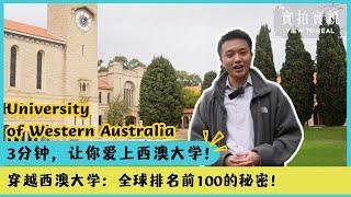 三分钟校园探索：澳洲八大之一 ️ 西澳大学 University of Western Australia，你不得不看的梦幻学府！ 