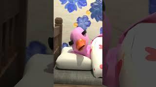 When my brother's alarm wakes everyone but him  #siblings #alarm #babyduck