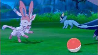 Sylveon a little too excited about the ball