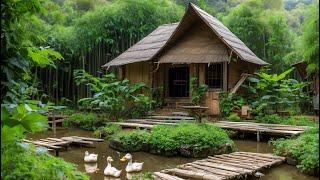 Bamboo House in the middle of nature - Construction journey and self-sufficient life